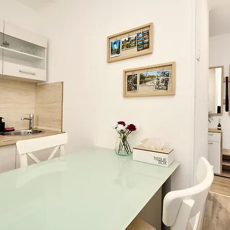 Apartment Cozy Charles Karlovy Vary
